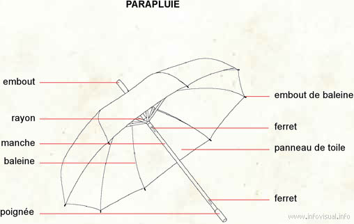 Parapluie (Dictionnaire Visuel)